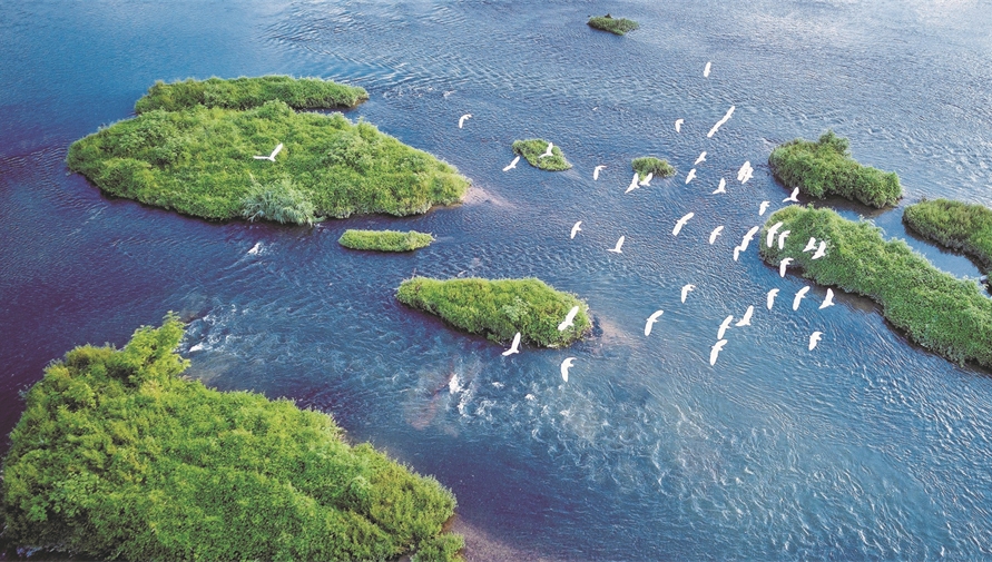 Living in Harmony with Our Waters and Ensuring Our Rivers Flourish